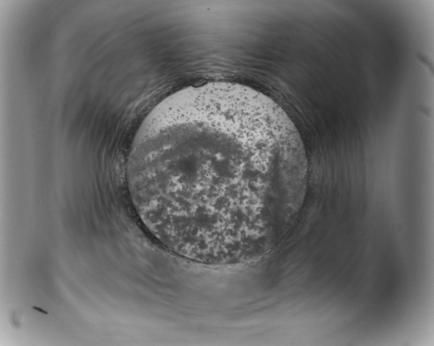X0000099560043200806131244
