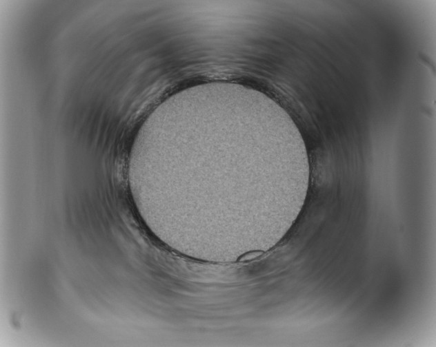 X0000099560044200806131244