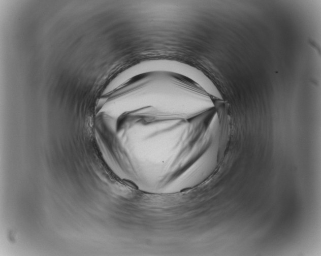 X0000099560045200806131244