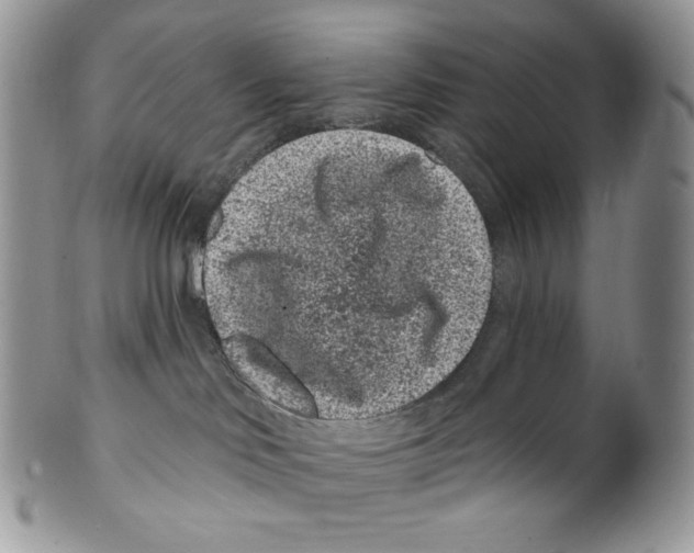 X0000099560046200806131244