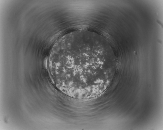 X0000099560047200806131244