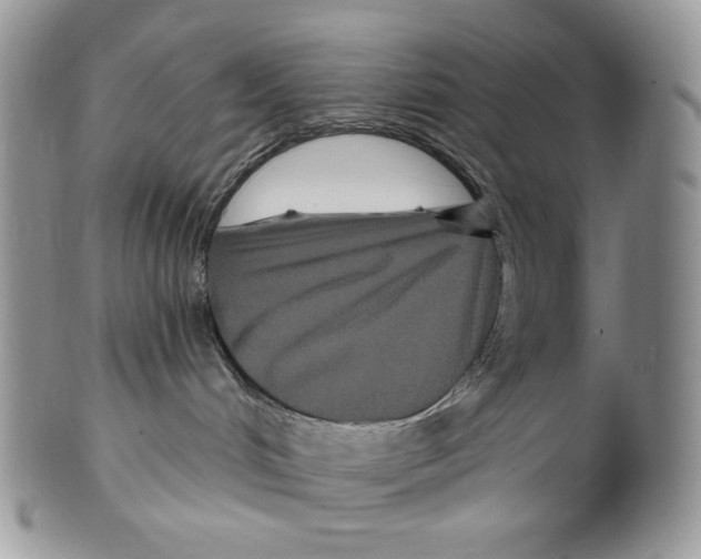 X0000099560048200806131244