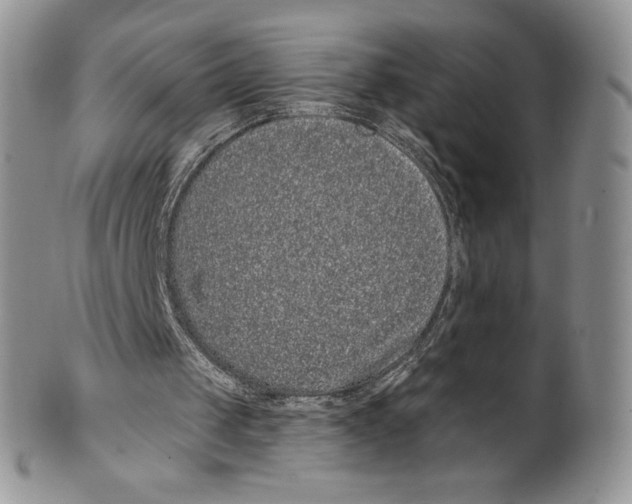 X0000099560049200806131243