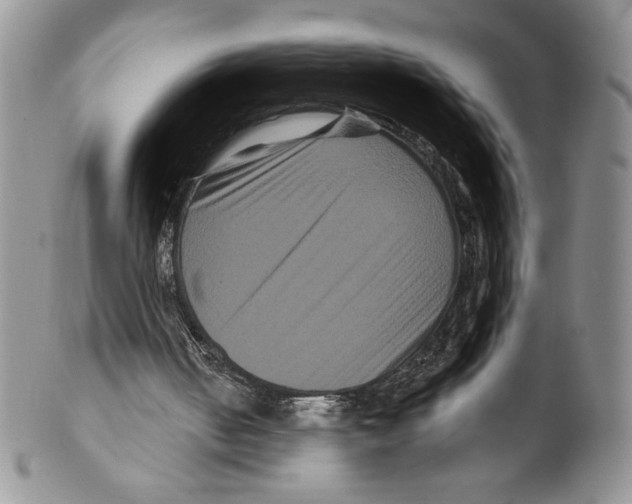X0000099560050200806131243