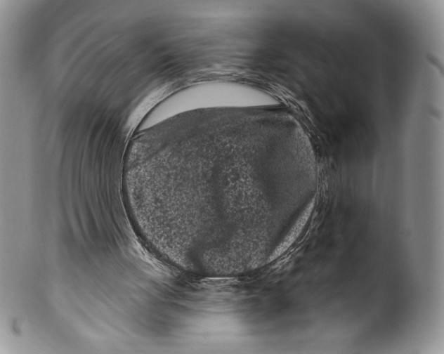 X0000099560051200806131243