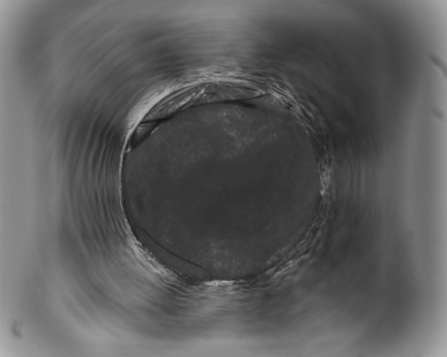 X0000099560052200806131243