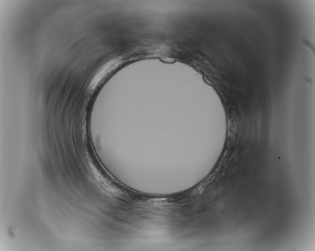 X0000099560054200806131243