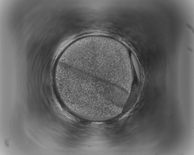 X0000099560055200806131243