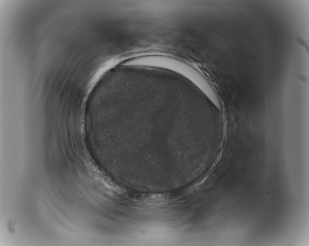 X0000099560056200806131243