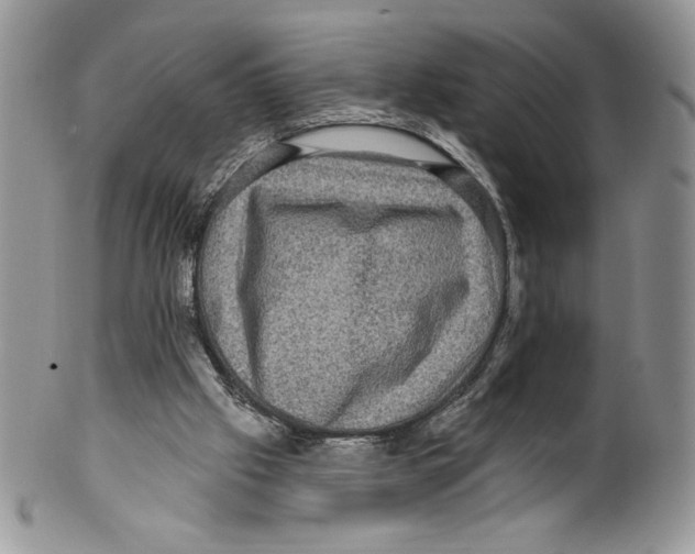 X0000099560057200806131243