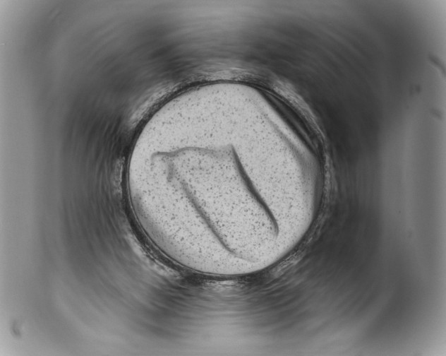 X0000099560058200806131243