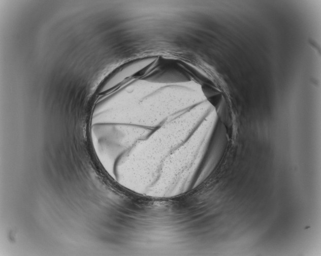 X0000099560060200806131243