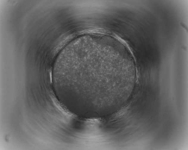 X0000099560061200806131243