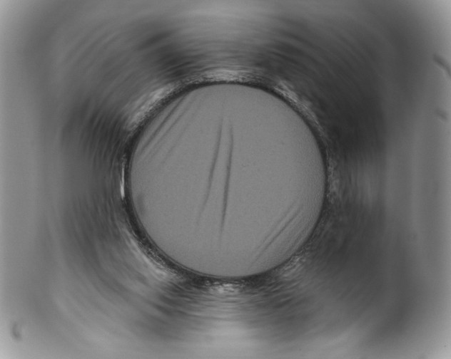 X0000099560062200806131243