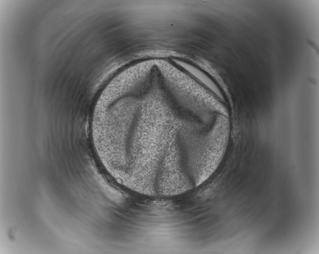 X0000099560063200806131243