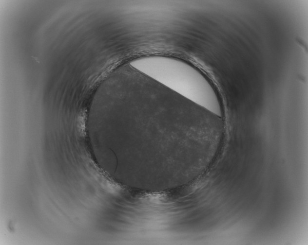 X0000099560065200806131243