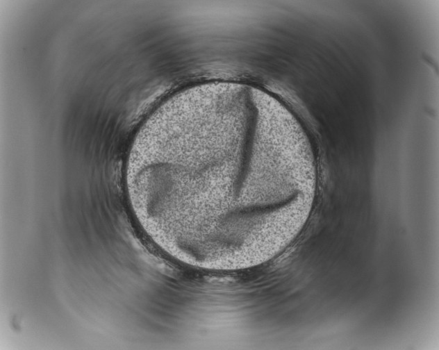 X0000099560066200806131243
