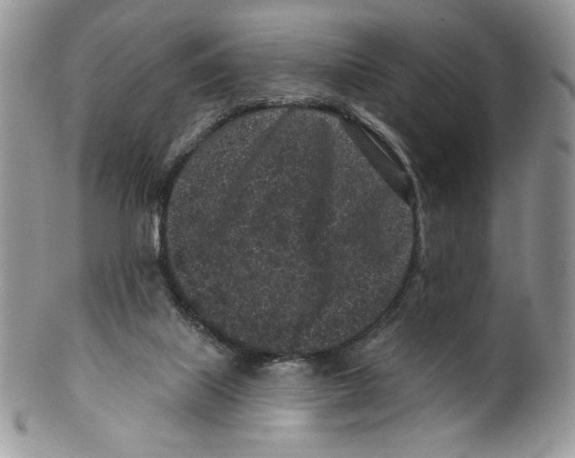 X0000099560067200806131243
