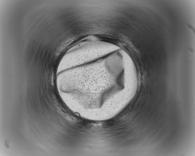 X0000099560068200806131243