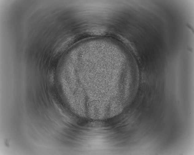 X0000099560069200806131243
