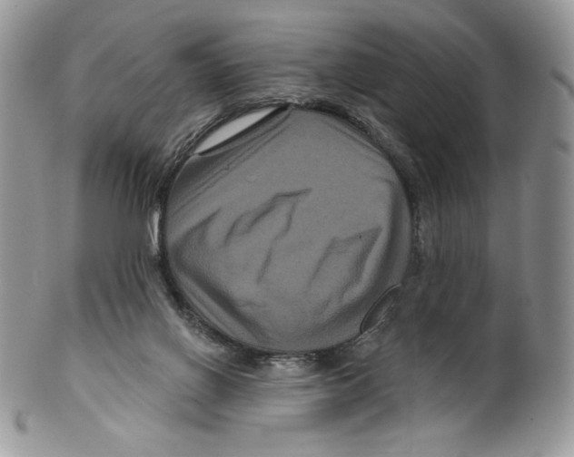 X0000099560070200806131243