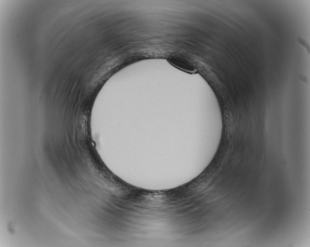 X0000099560071200806131243