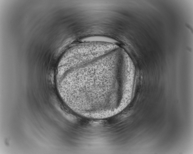 X0000099560072200806131243