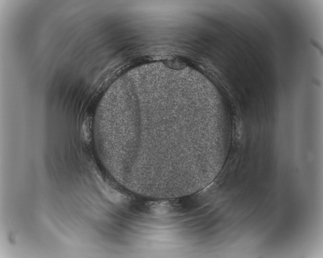 X0000099560074200806131243