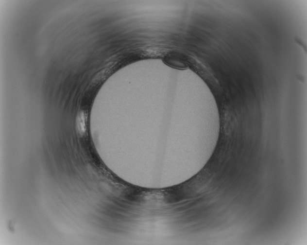 X0000099560075200806131243