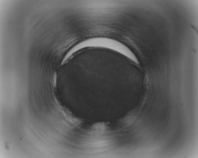 X0000099560076200806131243