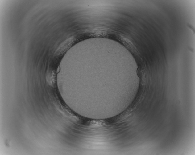 X0000099560077200806131244