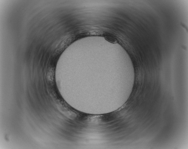 X0000099560078200806131244