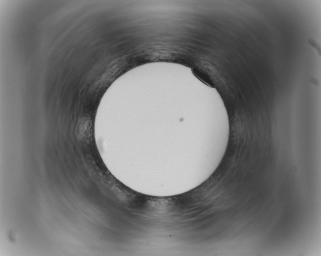 X0000099560079200806131244