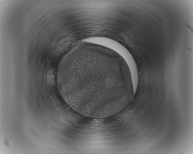 X0000099560080200806131244