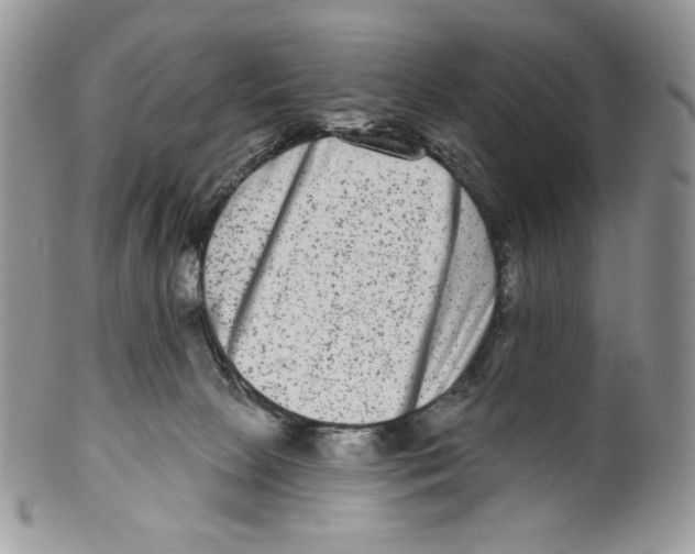 X0000099560081200806131244