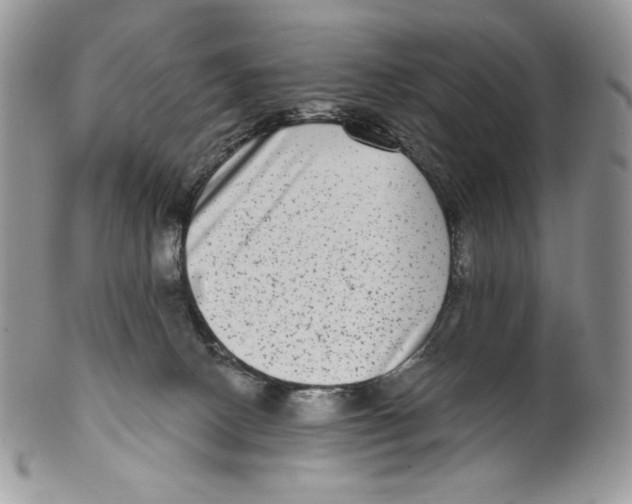 X0000099560082200806131244