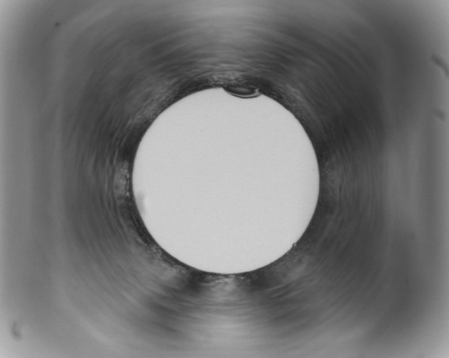 X0000099560083200806131244