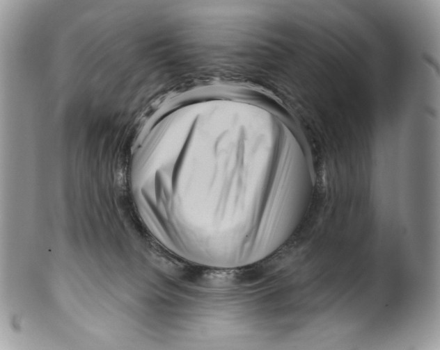 X0000099560084200806131244