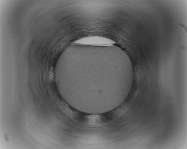 X0000099560085200806131244