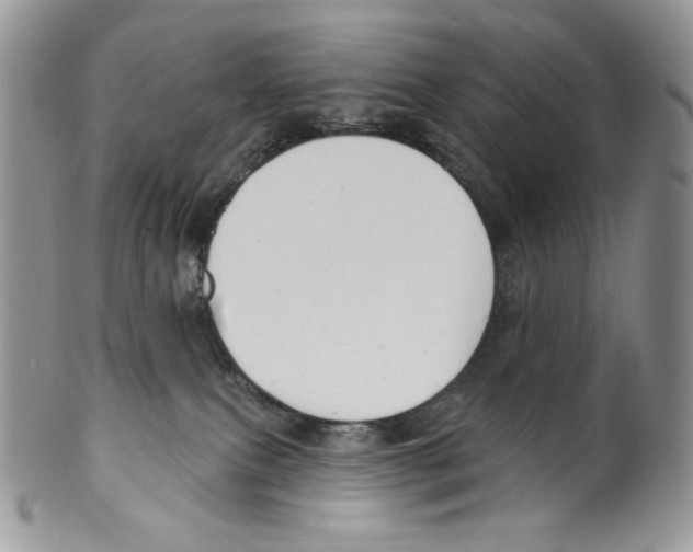 X0000099560087200806131244