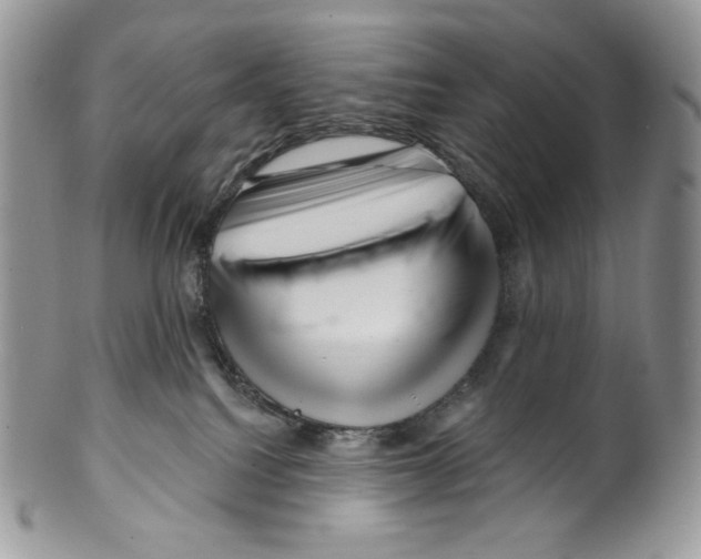X0000099560088200806131244