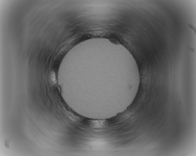 X0000099560089200806131244
