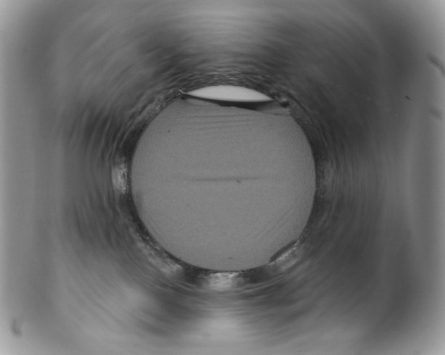 X0000099560090200806131244