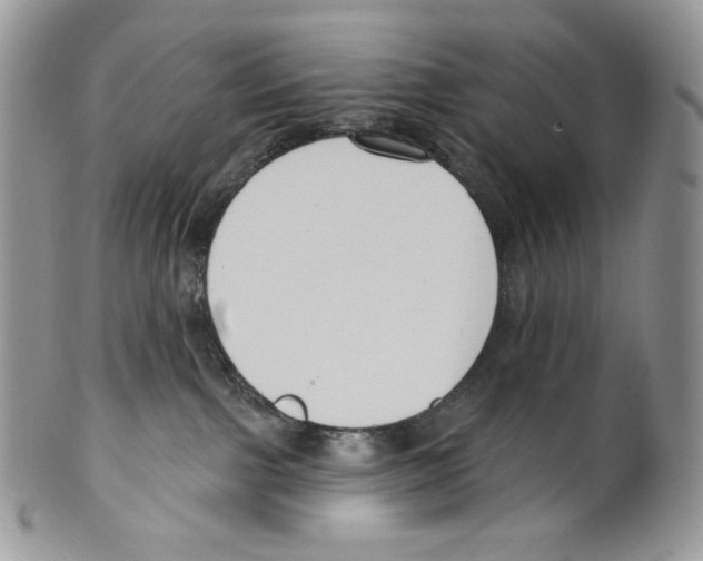 X0000099560091200806131244