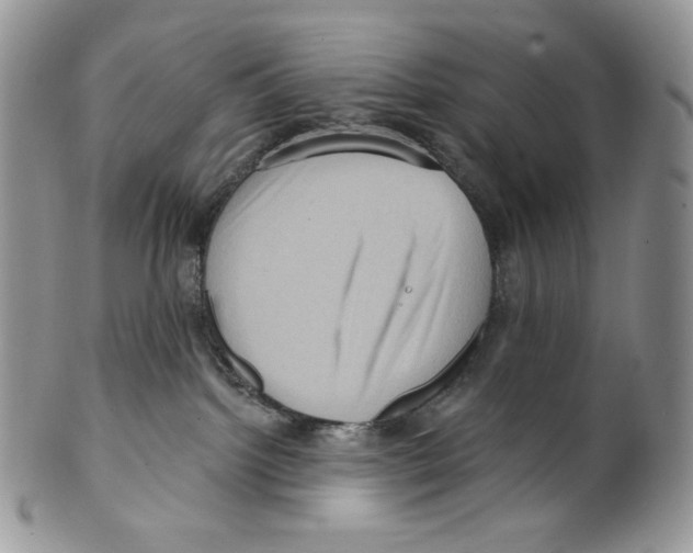 X0000099560092200806131244
