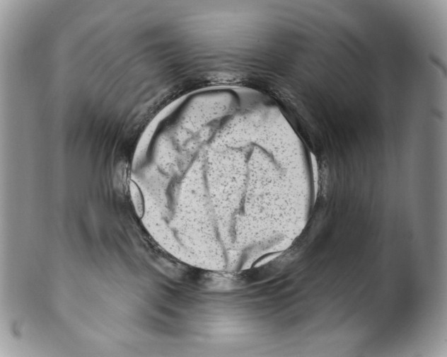 X0000099560093200806131244