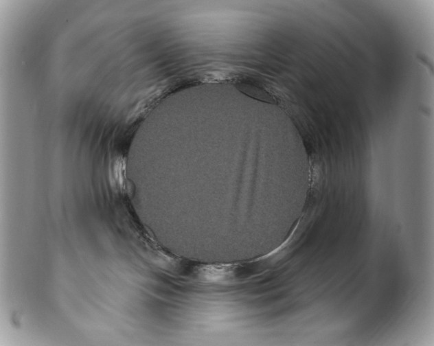 X0000099560094200806131244