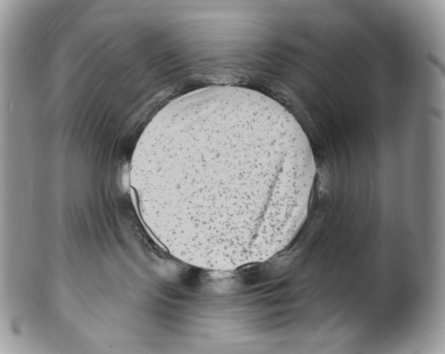 X0000099560095200806131244