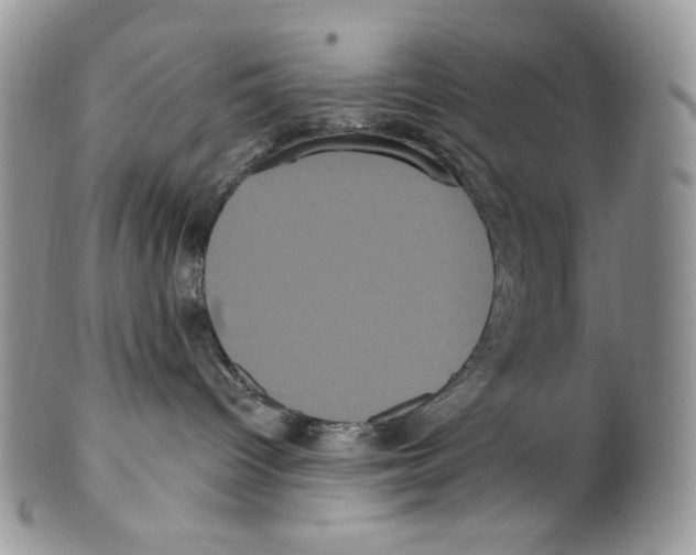 X0000099560096200806131244