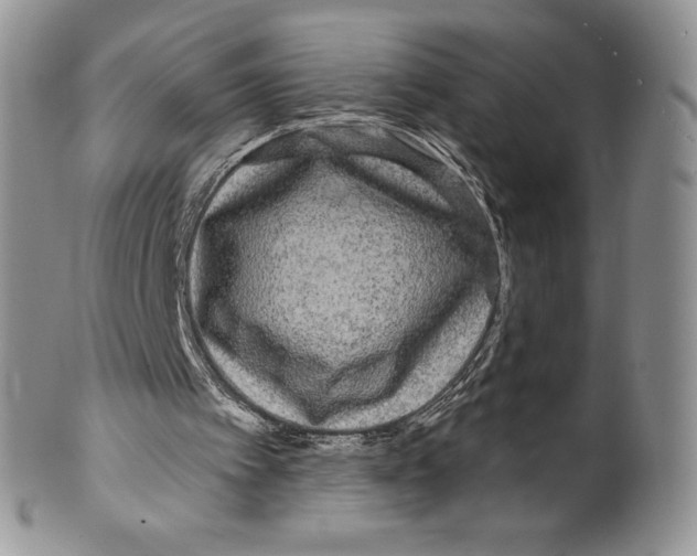 X0000099560097200806131243